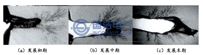 由水樹(shù)枝引起的絕緣故障發(fā)展過(guò)程示意圖